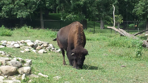 Zoo «Lords Park Zoo», reviews and photos, 325 Hiawatha Dr, Elgin, IL 60120, USA
