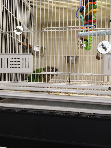 Pet Supply Store «Pet Supplies Plus», reviews and photos, 2410 Augusta Rd, West Columbia, SC 29169, USA