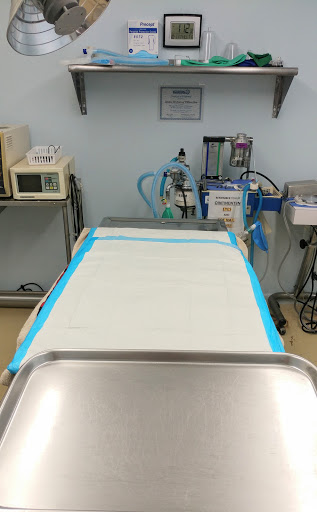 Animal Hospital «Lifetime Pet Center- Williamsburg», reviews and photos, 3070 Old State Rte 32, Batavia, OH 45103, USA