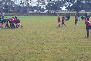 Waikiwi Rugby Football Club Inc