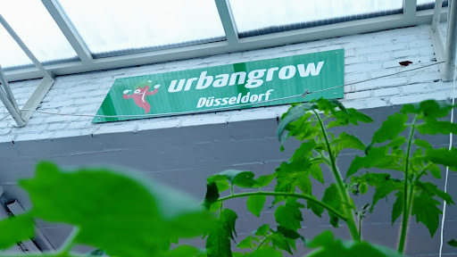 Urbangrow Growshop Düsseldorf