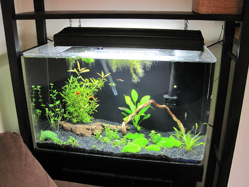 Pet Store «Critter Cabana», reviews and photos, 516 E 1st St, Newberg, OR 97132, USA