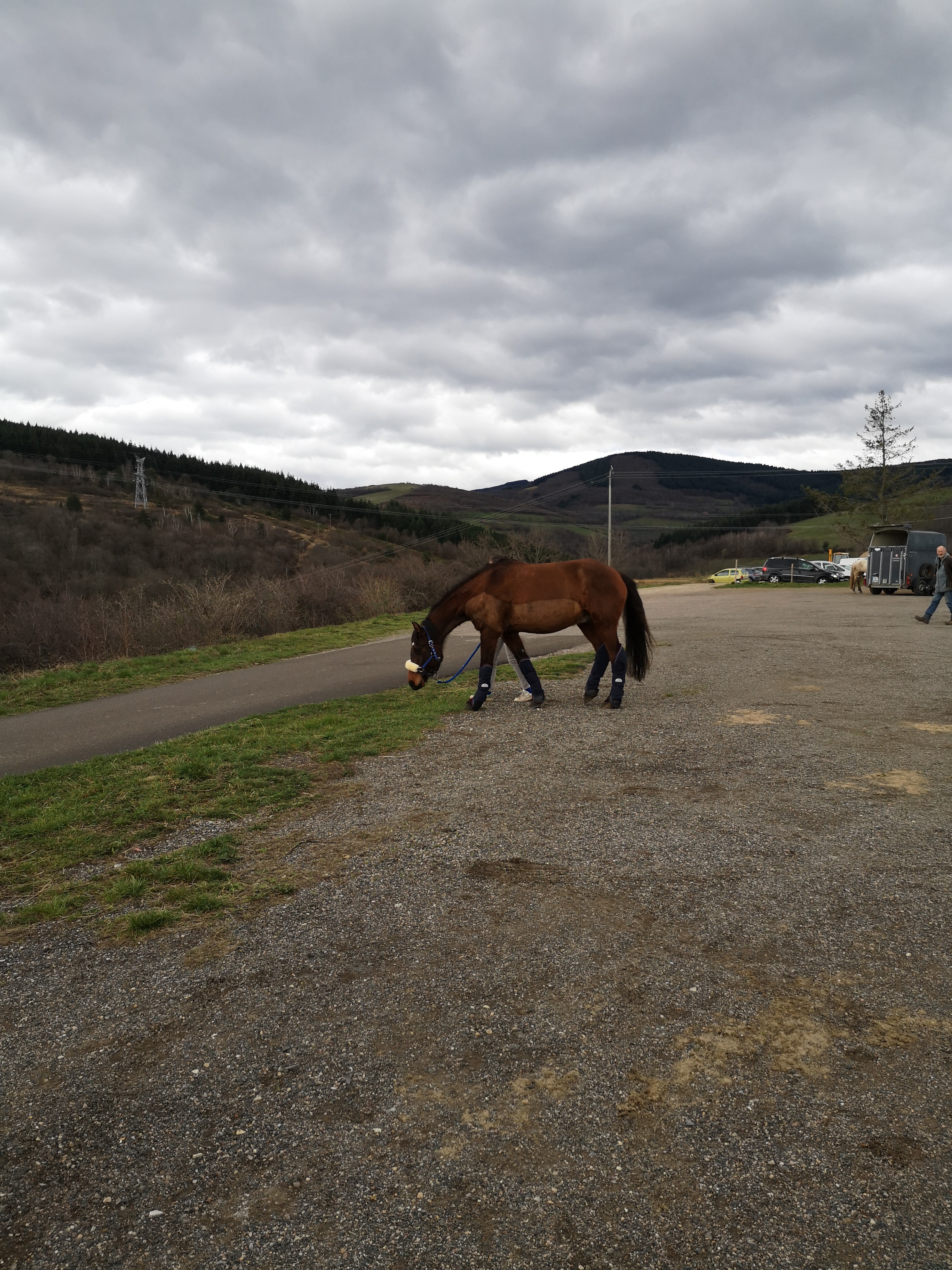 Photo n° 2 de l'avis de Pierre.a fait le 10/06/2019 à 10:48
