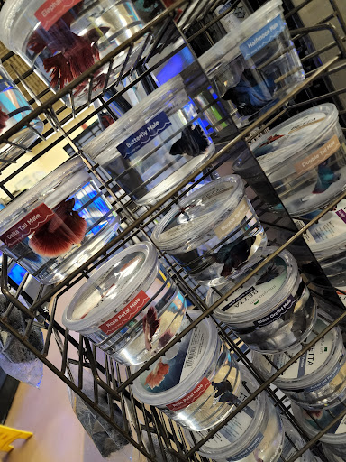 Pet Supply Store «Petco Animal Supplies», reviews and photos, 29560 W Seven Mile Rd, Livonia, MI 48152, USA