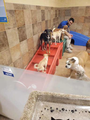 Pet Supply Store «PetSmart», reviews and photos, 5722 Fairmont Pkwy, Pasadena, TX 77505, USA