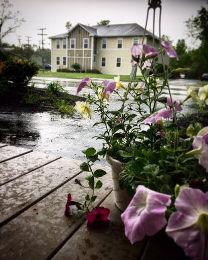 Tobacco Shop «Stogies Cigars and Lounge», reviews and photos, 55 E Olentangy St, Powell, OH 43065, USA