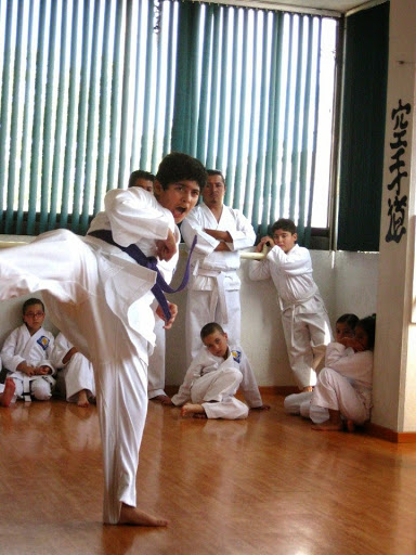 Clases jeet kune do Toluca de Lerdo