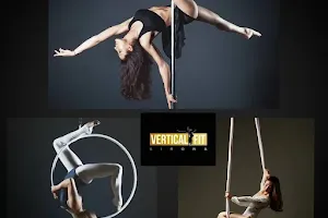 Escola Verticalfit Girona -Pole Dance / Fitness & Aeris image