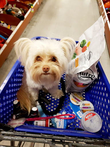 Pet Supply Store «PetSmart», reviews and photos, 15042 Summit Ave, Fontana, CA 92336, USA