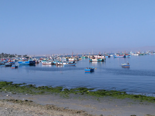 Paracas 11550, Perú