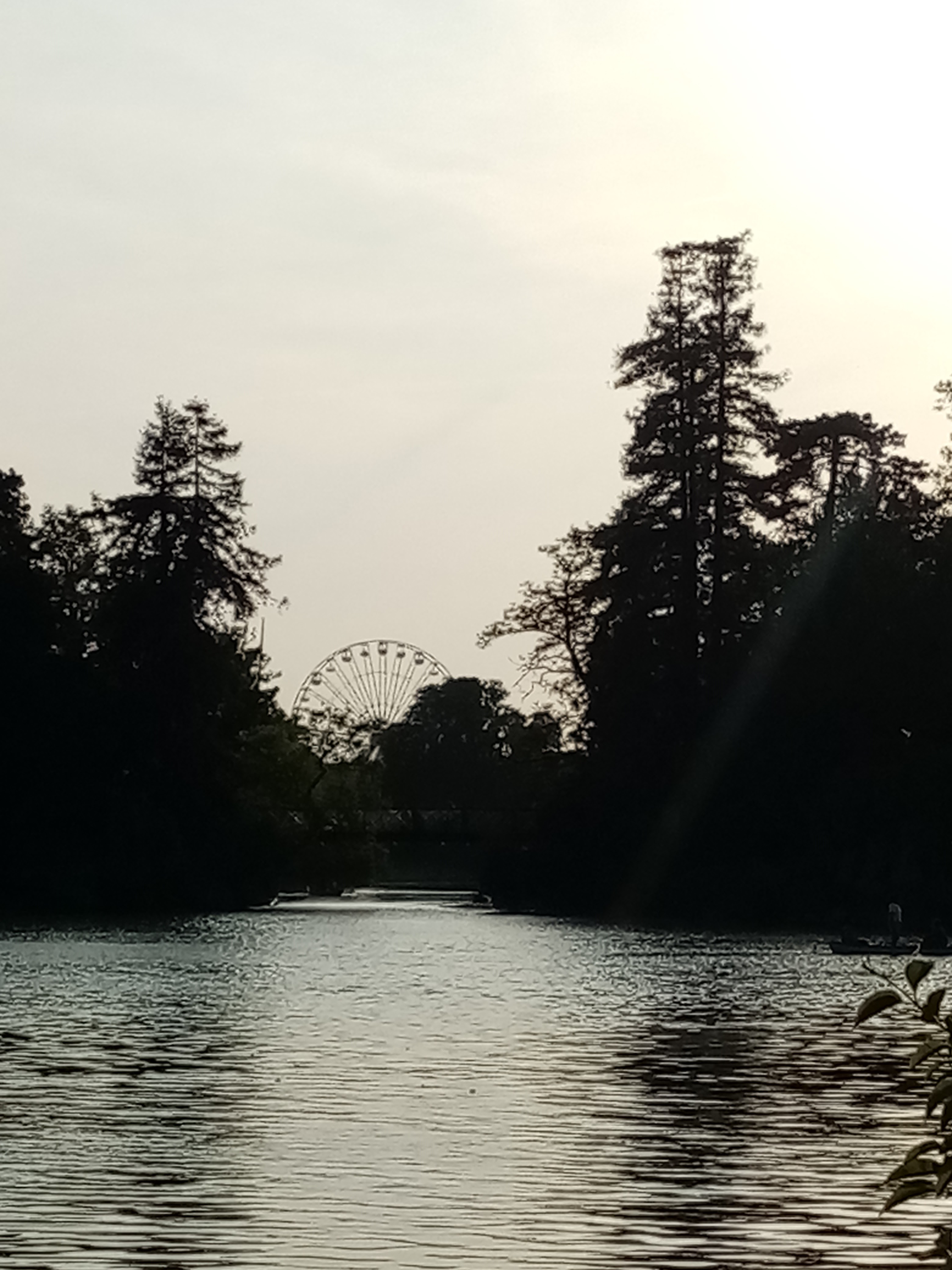 Photo n° 16 de l'avis de Sylvie.a fait le 11/10/2021 à 06:16