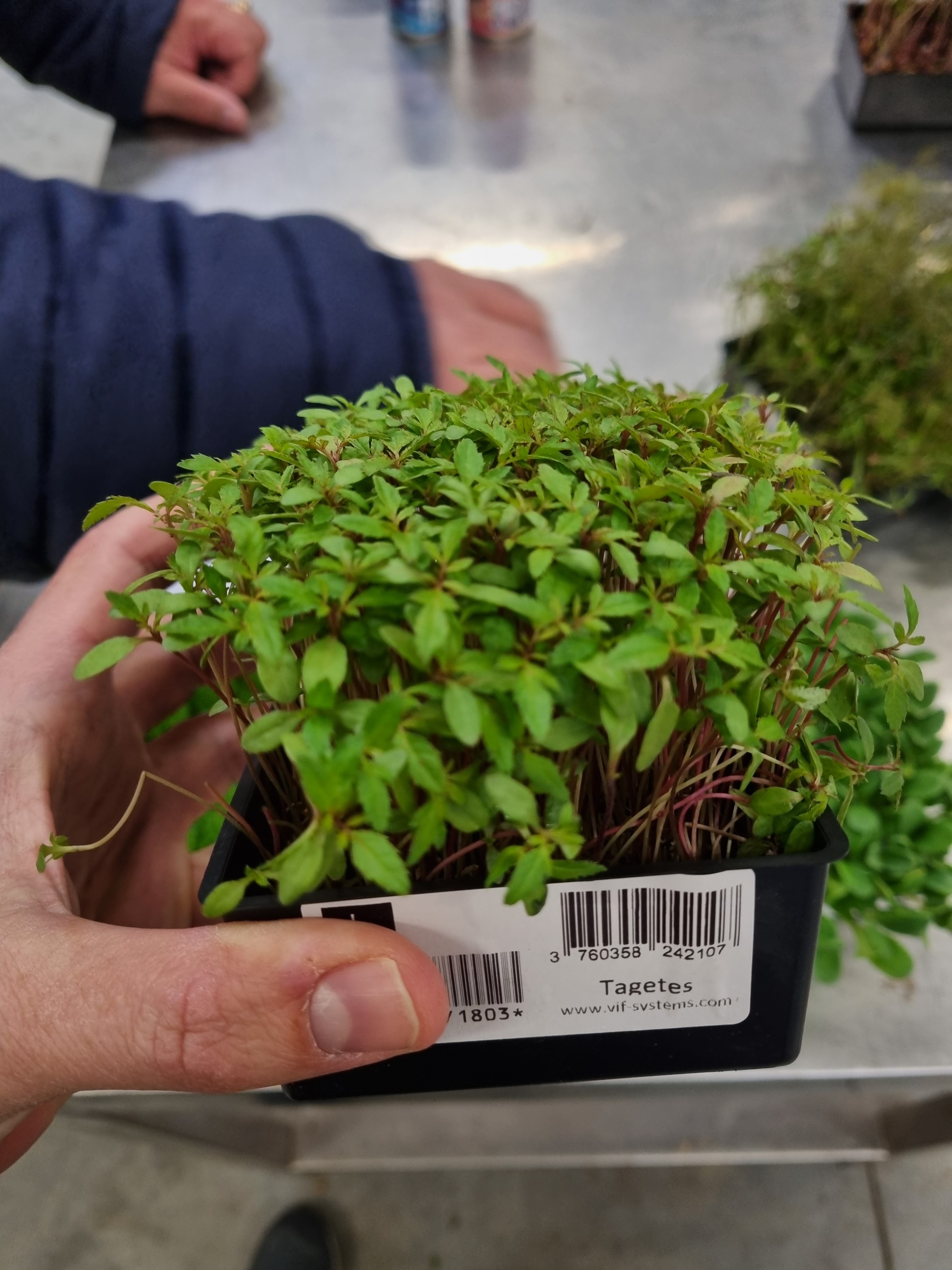 Photo n° 11 de l'avis de Yan.e fait le 23/04/2024 à 03:40