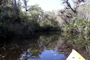 Telegraph Creek Preserve image