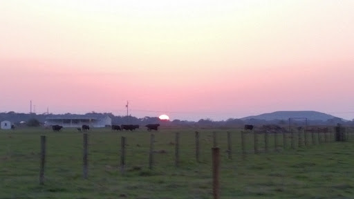 Produce Wholesaler «Goodson Farms Inc.», reviews and photos, 12405 Balm Rd, Balm, FL 33503, USA