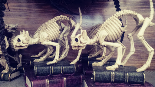 Craft Store «Michaels», reviews and photos, 19105 Lyndon B Johnson Fwy, Mesquite, TX 75150, USA