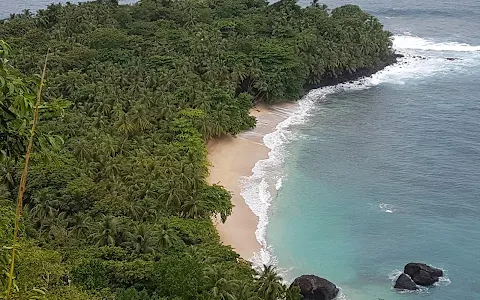 Praia das Bananas image