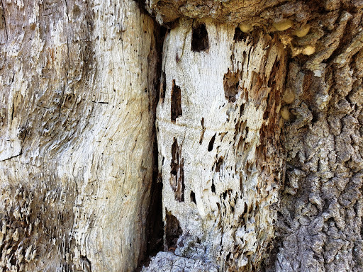 Community Center «University Area Community Center», reviews and photos, 14013 N 22nd St, Tampa, FL 33613, USA