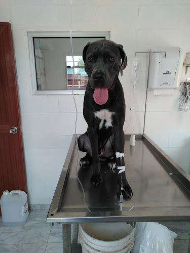 Horarios de Veterinaria Buena Pata