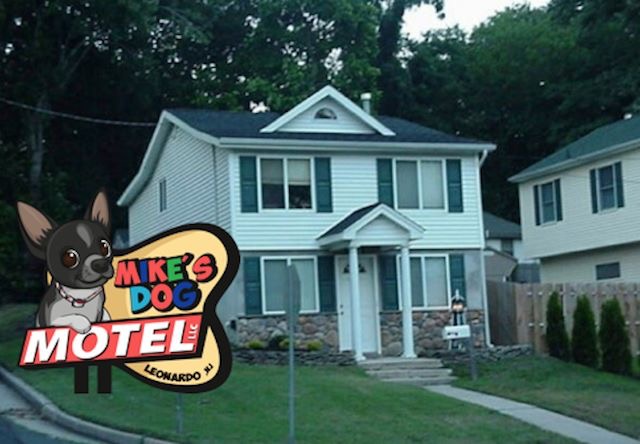 Mike's Dog Motel LLC