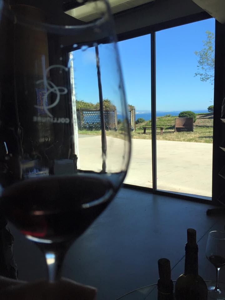 Photo n° 14 de l'avis de vinotour.o fait le 05/12/2016 à 17:36