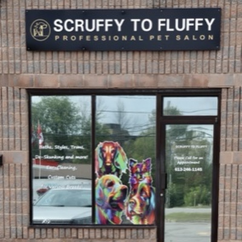 Scruffy To Fluffly by Shian