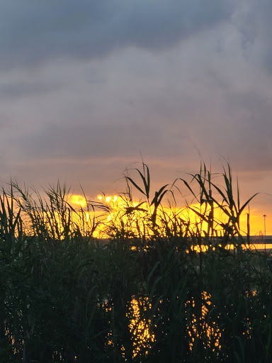 Tire Shop «KOVAC AUTO», reviews and photos, 2770 Davie Rd, Davie, FL 33314, USA