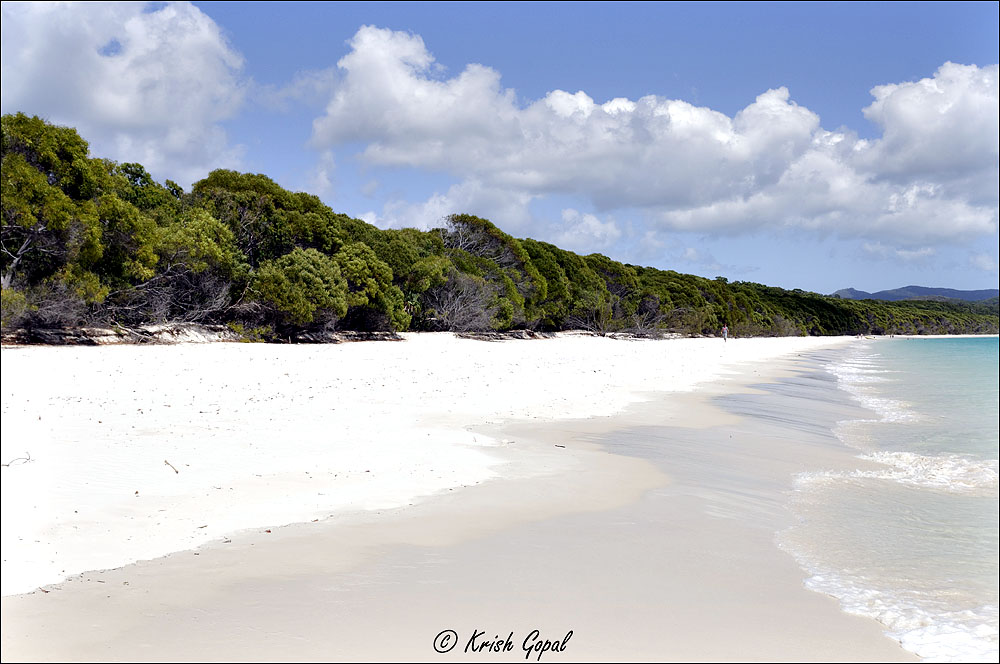 Foto de Praia de Whitehaven com alto nível de limpeza