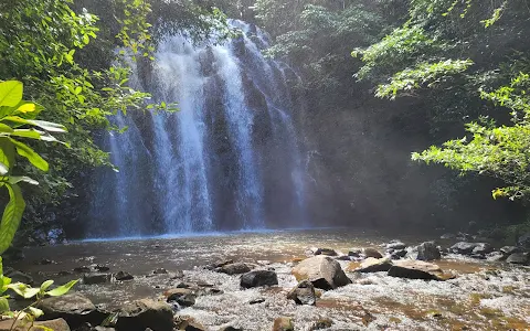 Ellinjaa Falls image