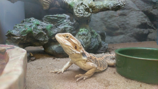 Pet Supply Store «Petco Animal Supplies», reviews and photos, 13691 Ridgedale Dr, Minnetonka, MN 55305, USA