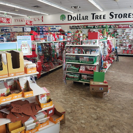 Dollar Store «Dollar Tree», reviews and photos, 5918 Middlebelt Rd, Garden City, MI 48135, USA