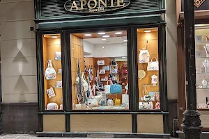 Aponte Antonino image