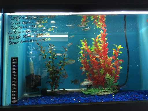 Pet Store «AquaVarium Pets And Supplies», reviews and photos, 95 W Bridge St, Catskill, NY 12414, USA