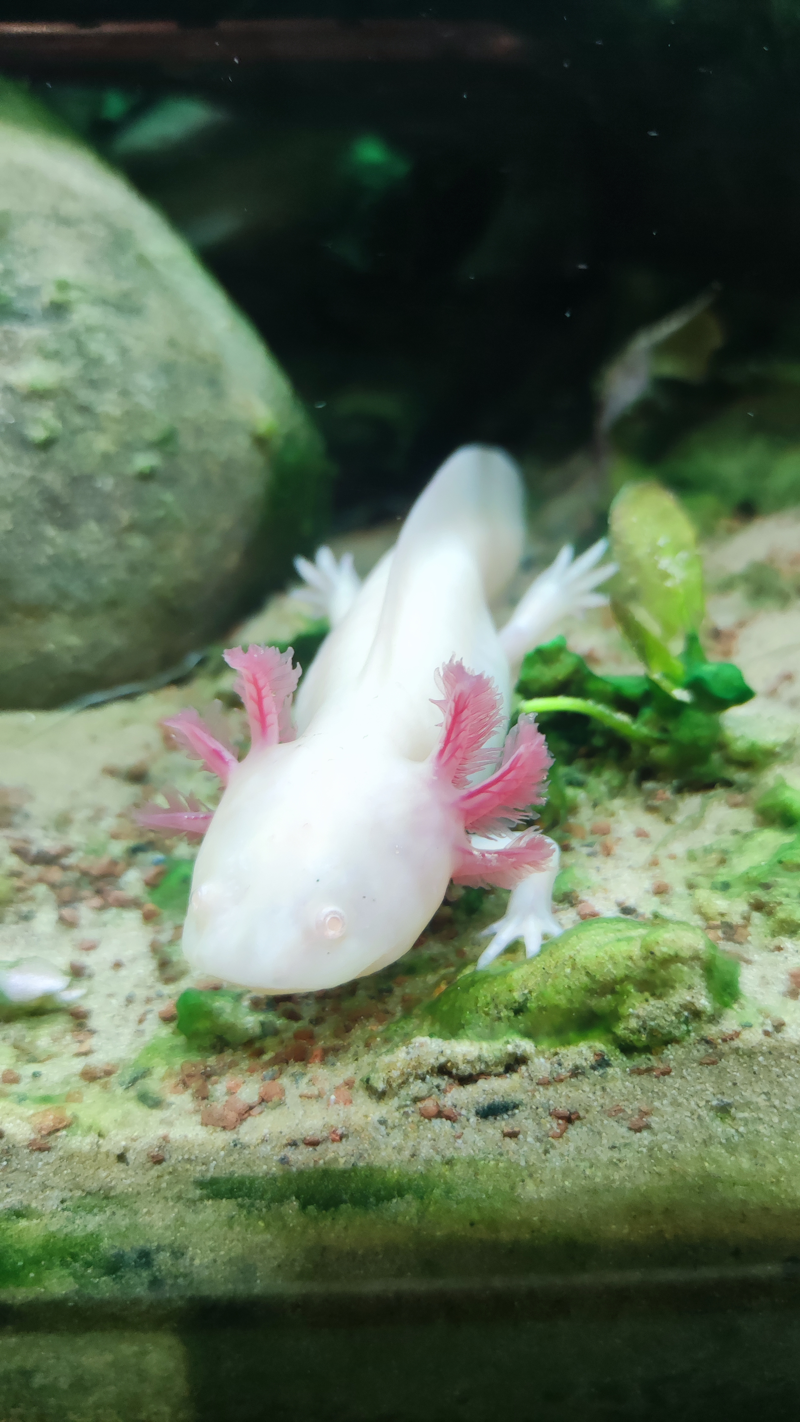 Photo n° 2 de l'avis de R. fait le 11/09/2022 à 13:52