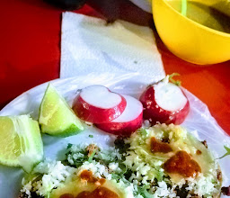 Taquería El Buen Taco photo