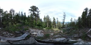Mickinnick Trail Head 13 - photo 14