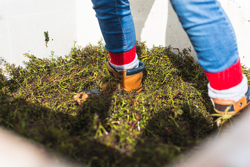 Winery «Coria Estates», reviews and photos, 8252 Redstone Ave SE, Salem, OR 97306, USA