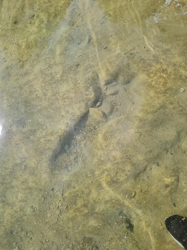 Gift Shop «Dinosaur Valley State Park Store», reviews and photos, 1629 Park Rd 59, Glen Rose, TX 76043, USA