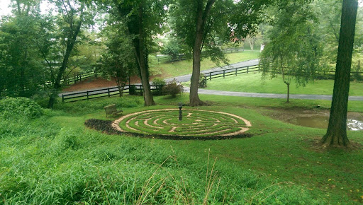 Farm «Blooming Hill Lavender Farm», reviews and photos, 19929 Telegraph Springs Rd, Purcellville, VA 20132, USA