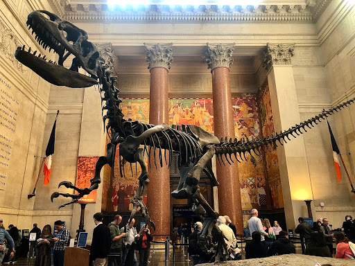 Natural History Museum «American Museum of Natural History», reviews and photos, Central Park West & 79th St, New York, NY 10024, USA