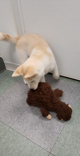 Pet Store «Friendly Pets», reviews and photos, 625 Friendly Center Rd, Greensboro, NC 27408, USA