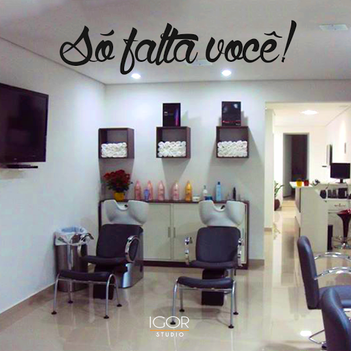 Logo da empresa - Studio Igor