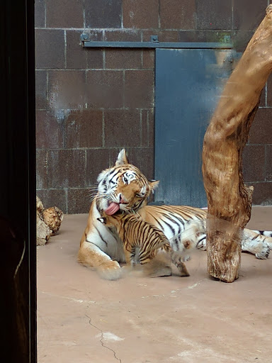 Zoo «Durhams Bear Canyon», reviews and photos, 3701 S 10th St, Omaha, NE 68107, USA