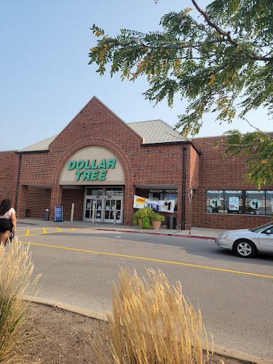 Dollar Store «Dollar Tree», reviews and photos, 340 W Army Trail Rd #120, Bloomingdale, IL 60108, USA