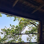 Photo n°40 de l'avis de Simona.u fait le 11/05/2022 à 20:57 sur le  Agriturismo Fattoria Terranova à Sant'Agata sui Due Golfi