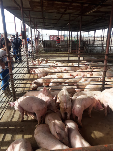 Meat Wholesaler «Lizze Custom Processing», reviews and photos, 7310 Pine Ave, Chino, CA 91708, USA