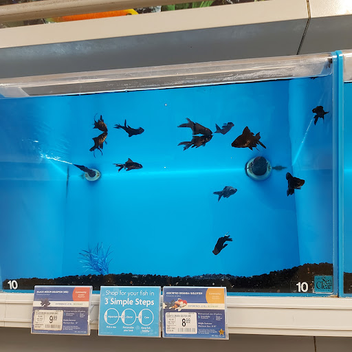 Pet Supply Store «PetSmart», reviews and photos, 162 S Gary Ave, Bloomingdale, IL 60108, USA