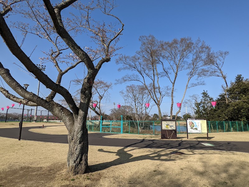 阿漕ヶ浦公園