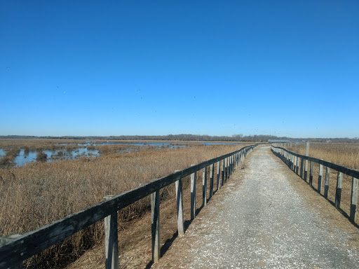 History Museum «Bayshore Center at Bivalve», reviews and photos, 2800 High St, Port Norris, NJ 08349, USA