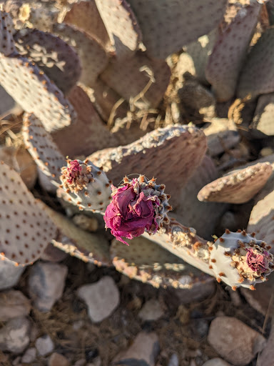 Park «Old Spanish Trail Park», reviews and photos, 8150 Tara Ave, Las Vegas, NV 89117, USA