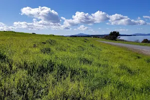 Pinole Shores Park image